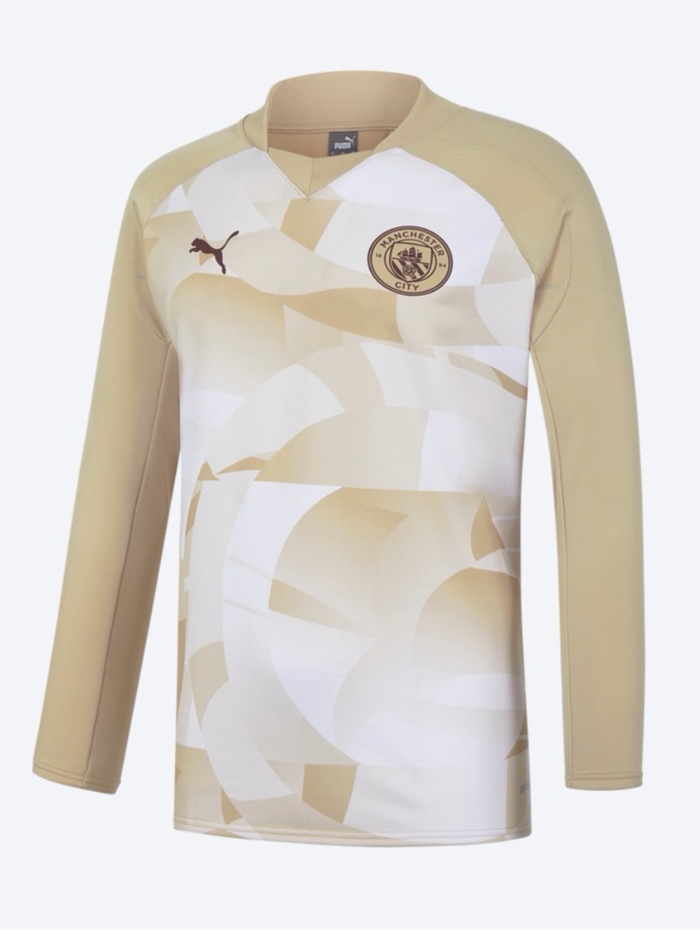 PUMA Manchester City Long Sleeve Jersey